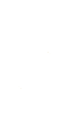 Domaine Comte Abbatucci