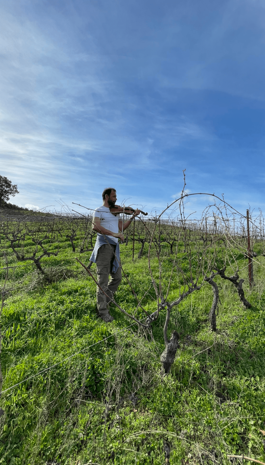 La musicologie viticole | Domaine Comte Abbatucci