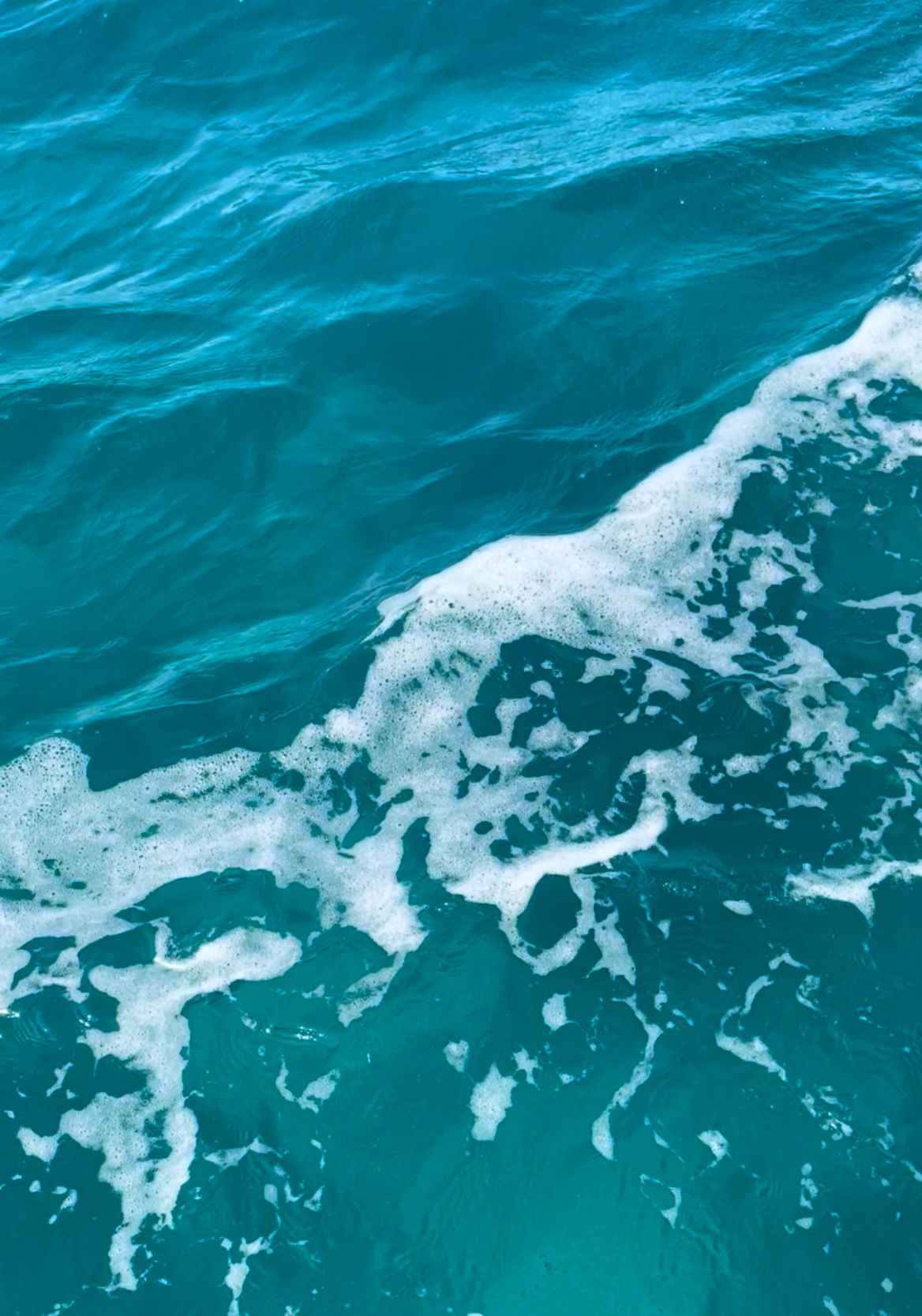 Eau saline sur les vignes corses | Domaine Comte Abbatucci