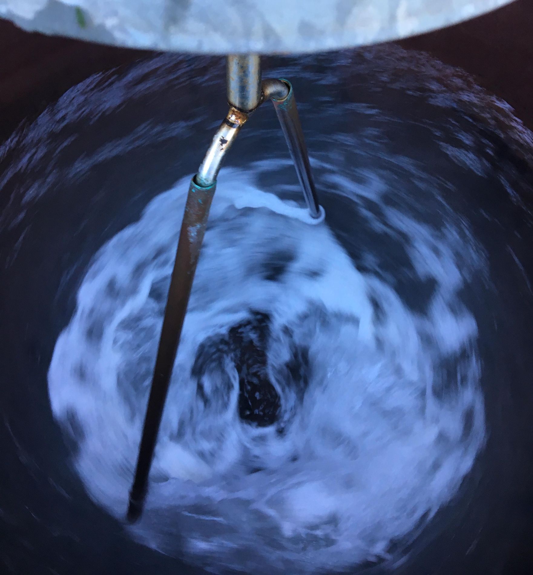 Un domaine au rythme de la lune | Domaine Comte Abbatucci